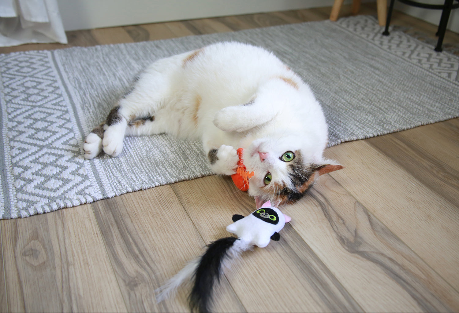 Mad Cat Hiss & Haunt Plush Cat Toy