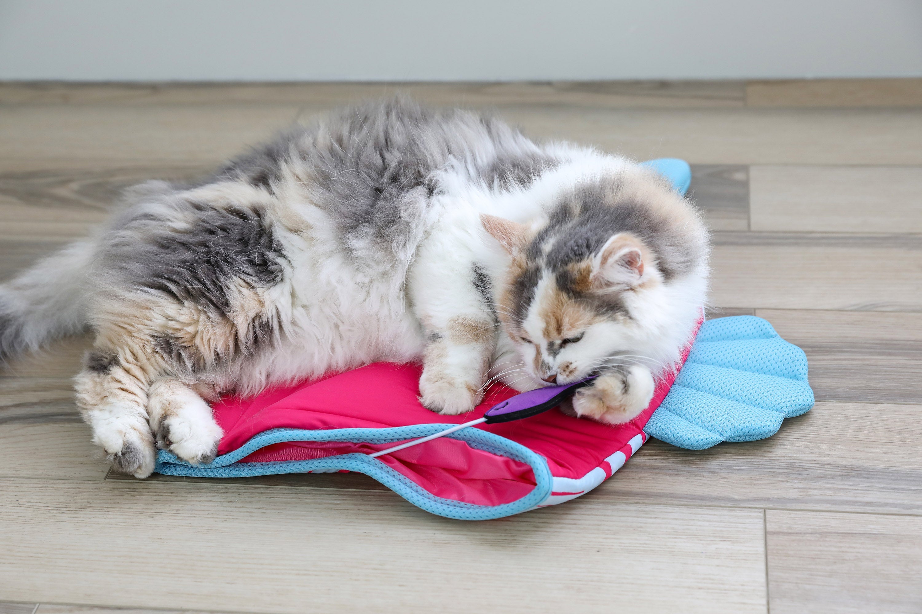 Quirky Kitty® Ocean Cool Mat