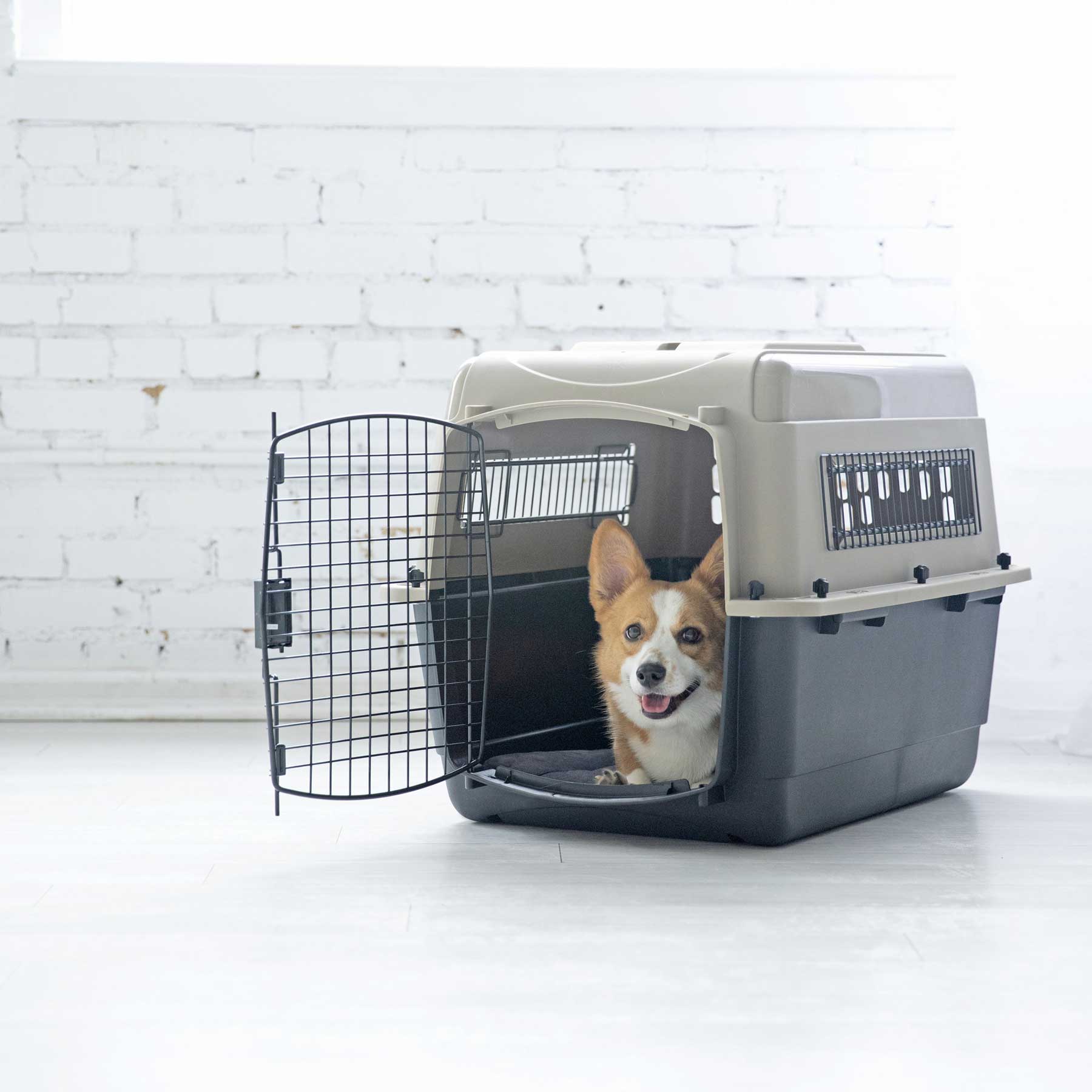 Petmate Traveler - Ultra Vari Kennel