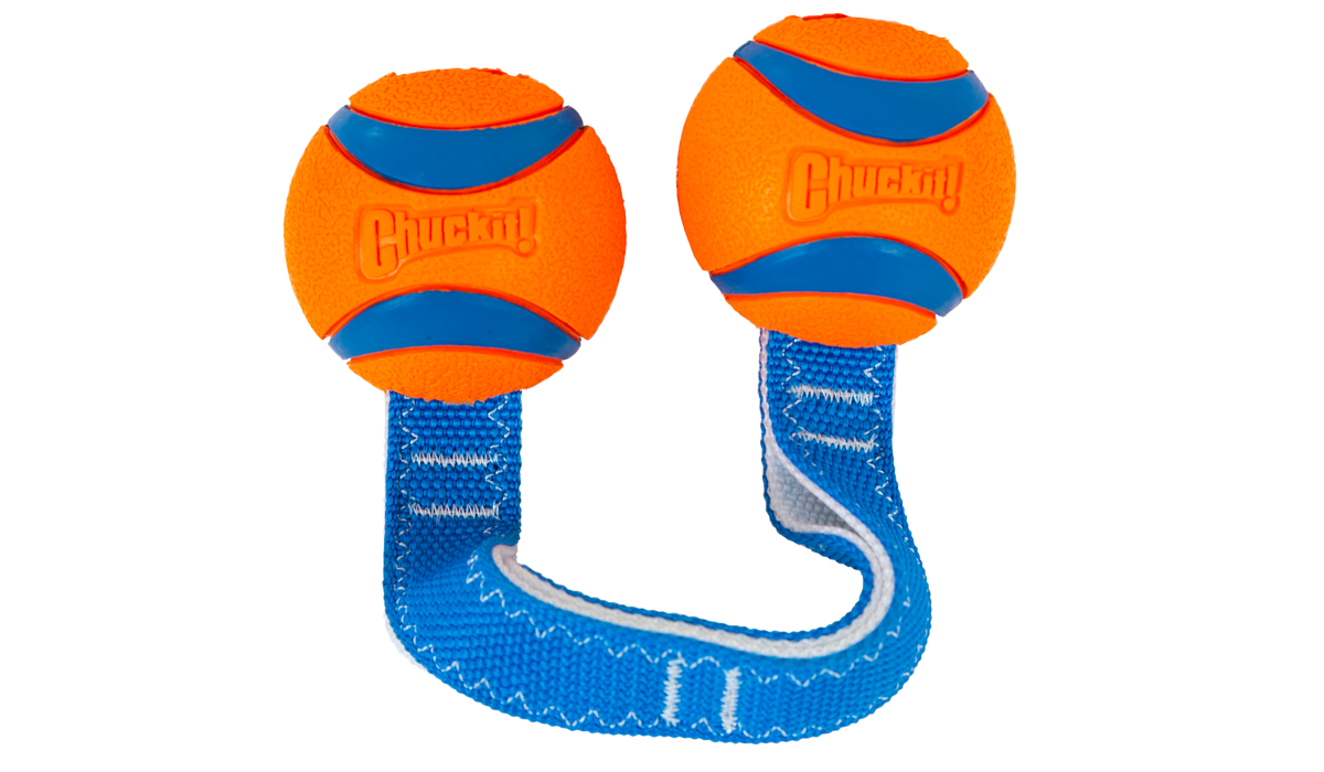Chuckit! Ultra Duo Tug Dog Toy