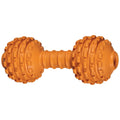 JW Chompion Dog Chew Toy